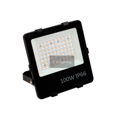 Floodlight 100w