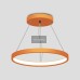 Hanglamp Ring